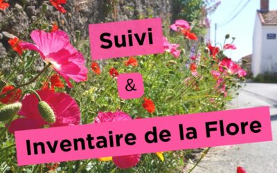 Suivi & Inventaire de la Flore