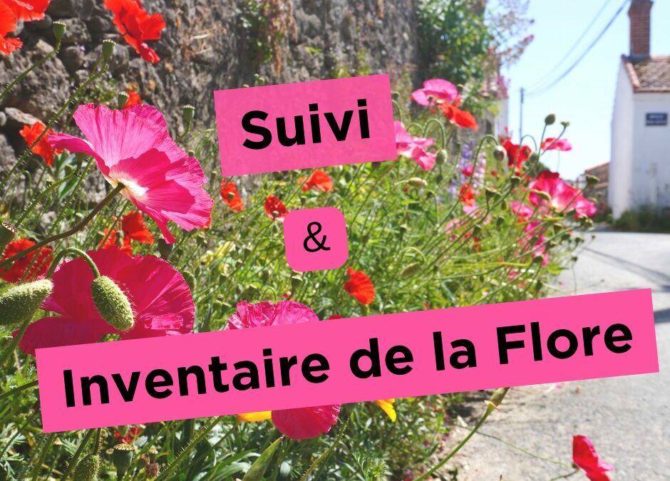 Suivi & Inventaire de la Flore