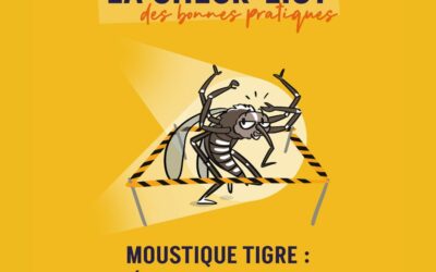 Prévention Moustique Tigre