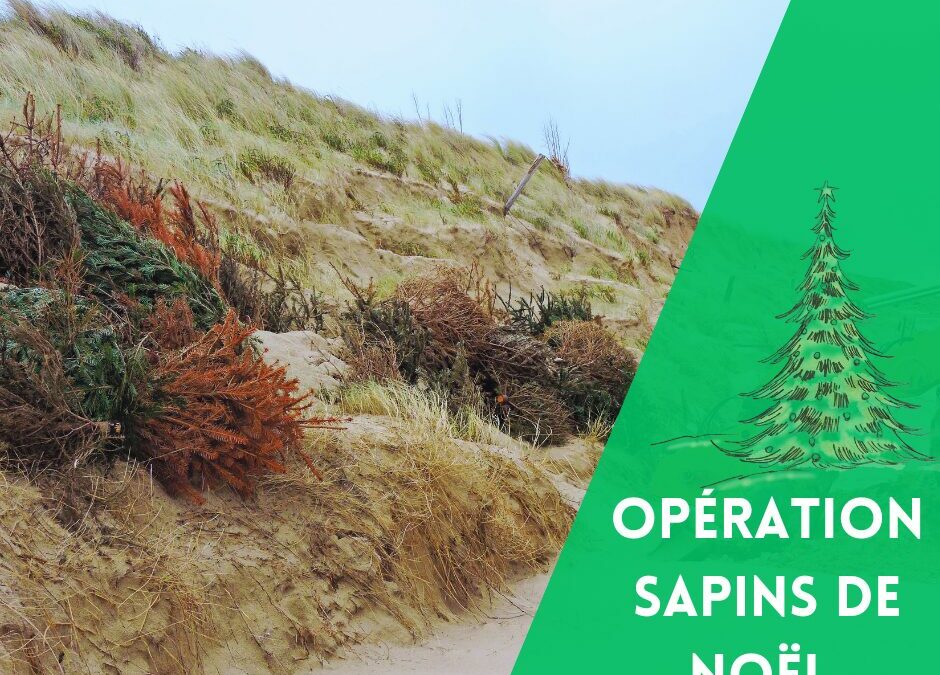 Opération Sapin de Noël