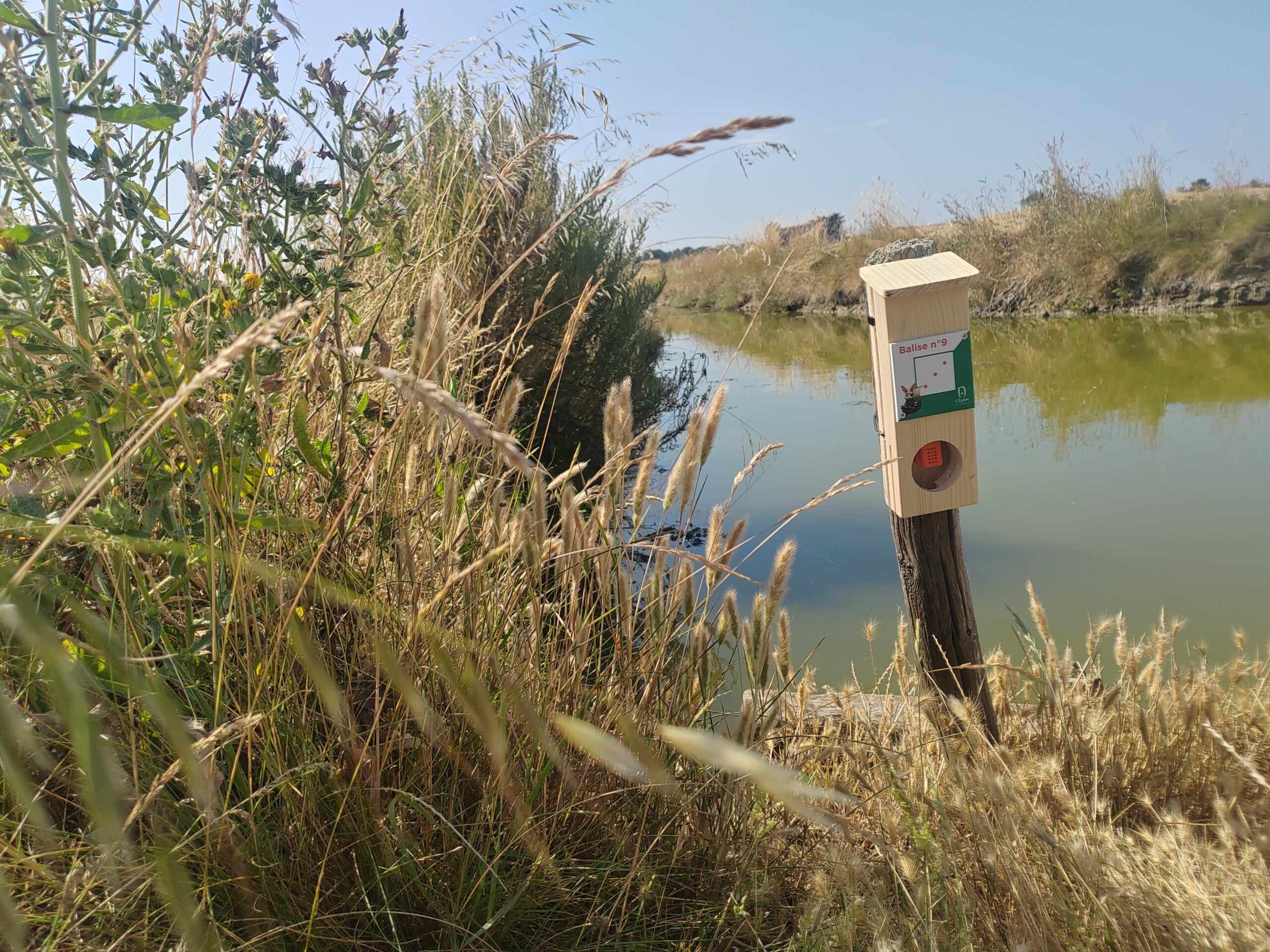 Balises parcours d'orientation (12)