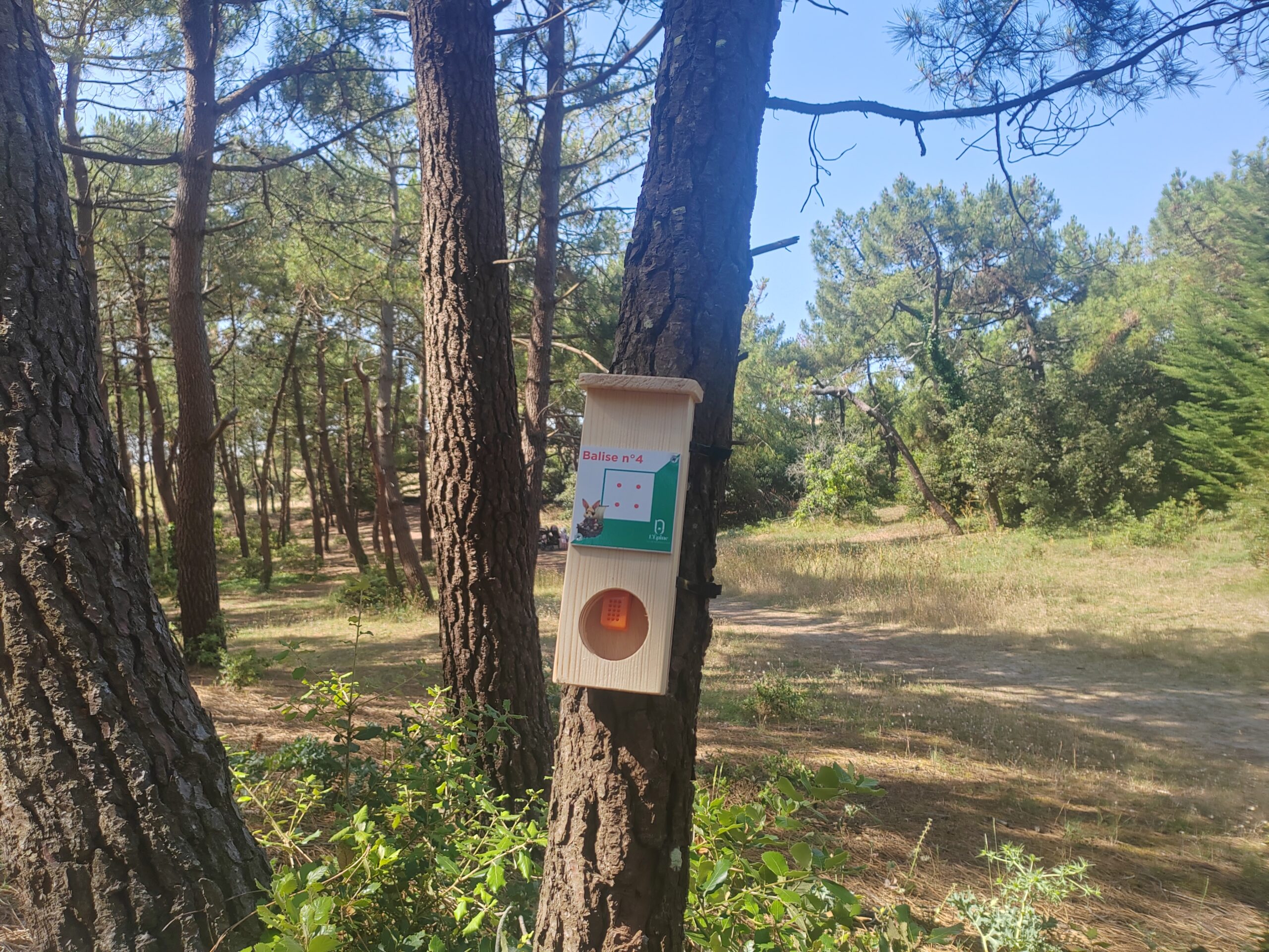 Balises parcours d'orientation (16)