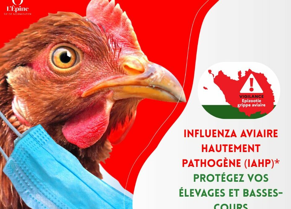 Influenza aviaire hautement pathogène (IAHP)*
